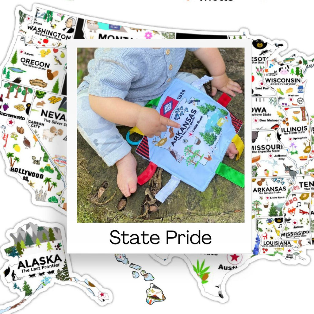 State pride tag toys that teach motto, tree, flower, flag