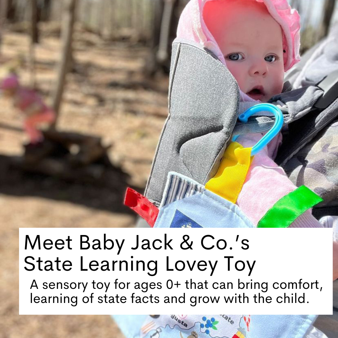 Mississippi State Tag Toy Crinkle Square That Teaches Facts