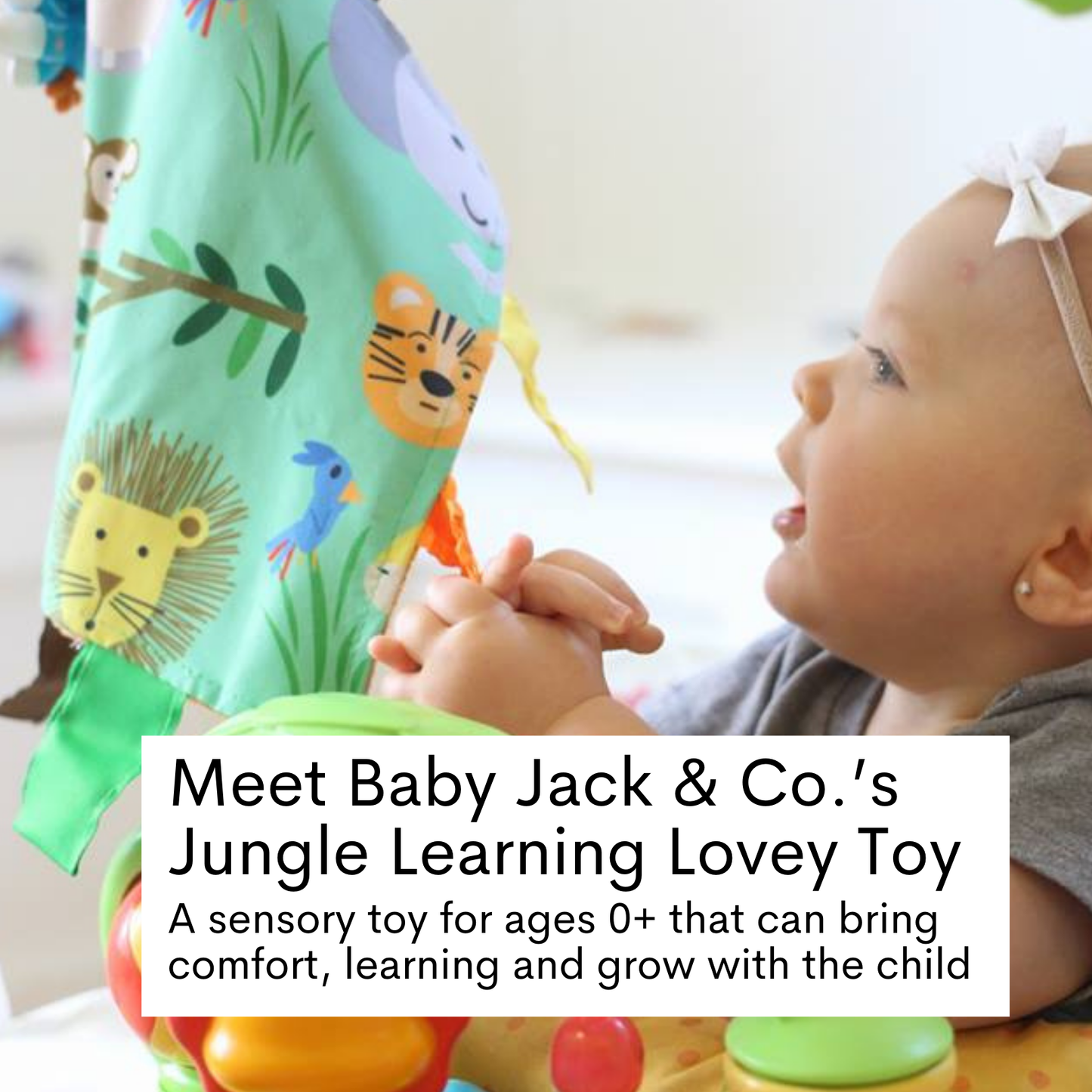 Jungle Zoo Learning Lovey Collection