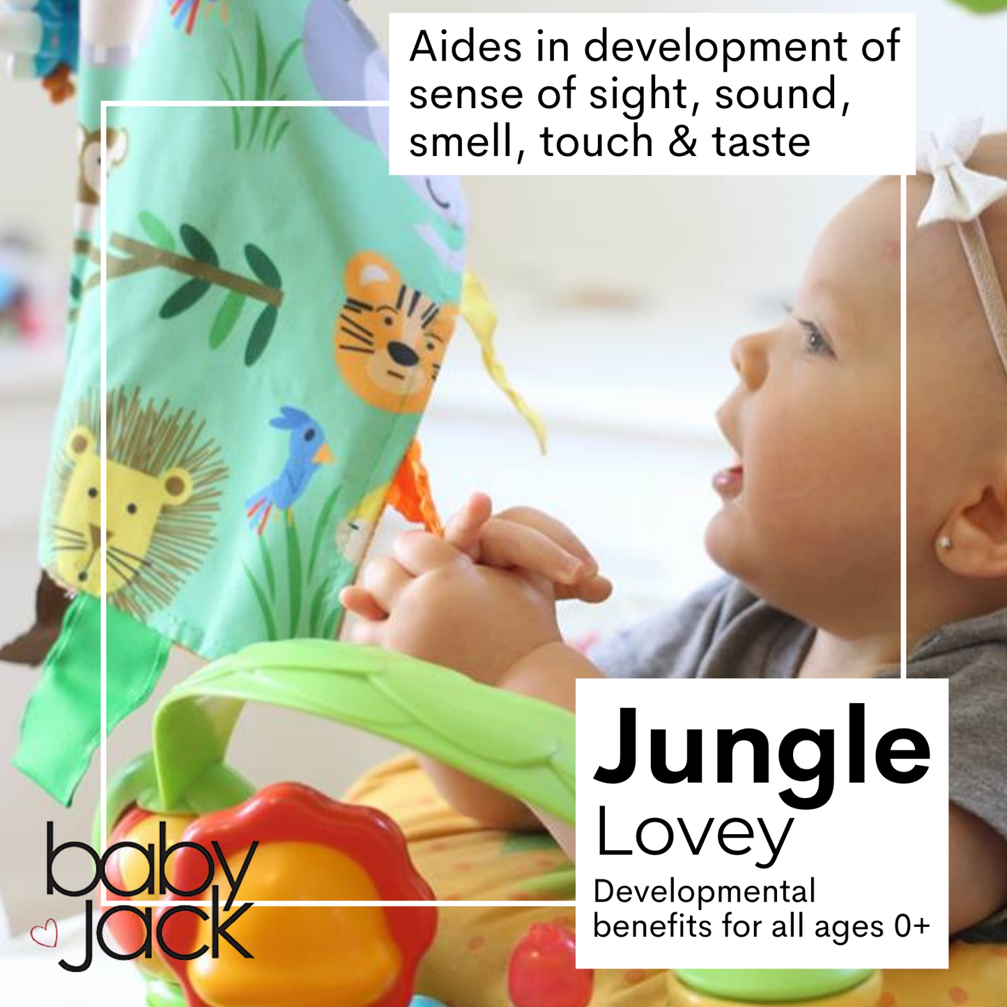 Jungle Zoo Learning Lovey Collection
