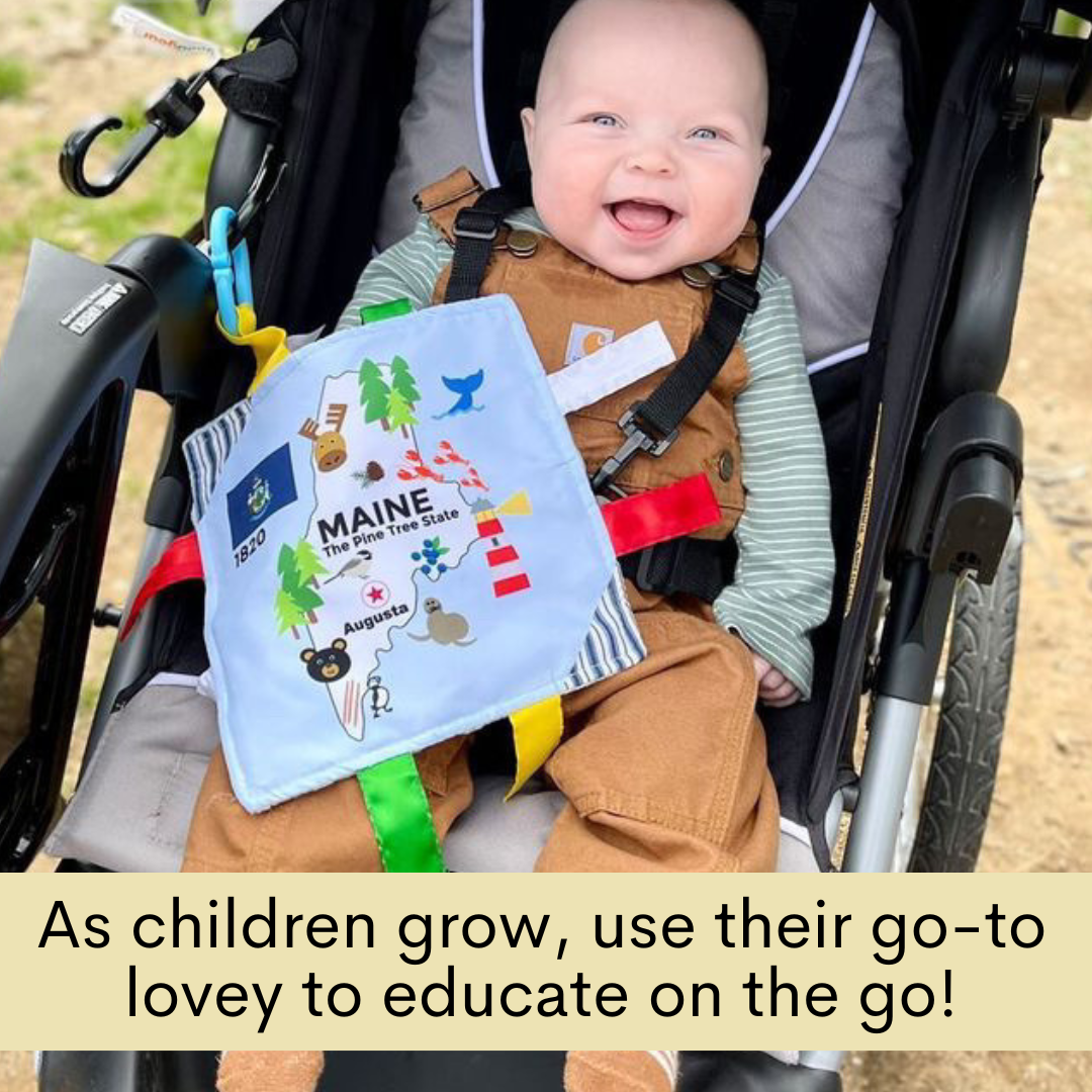 Montana State Tag Toy Crinkle Square That Teaches Facts