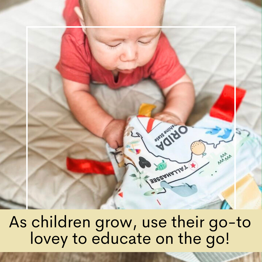 Florida State Tag Toy Crinkle Square That Teaches Facts