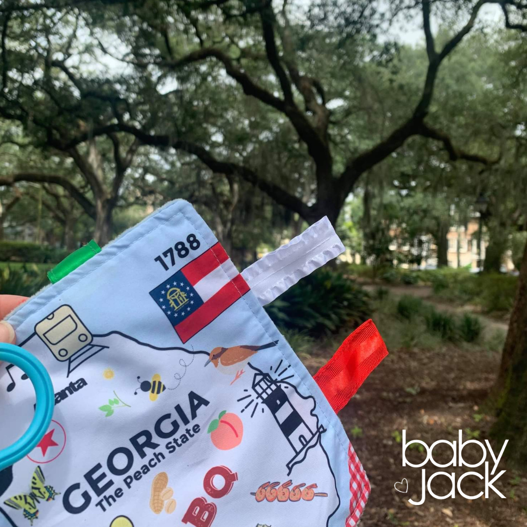 Georgia State Tag Toy Crinkle Square That Teaches Facts