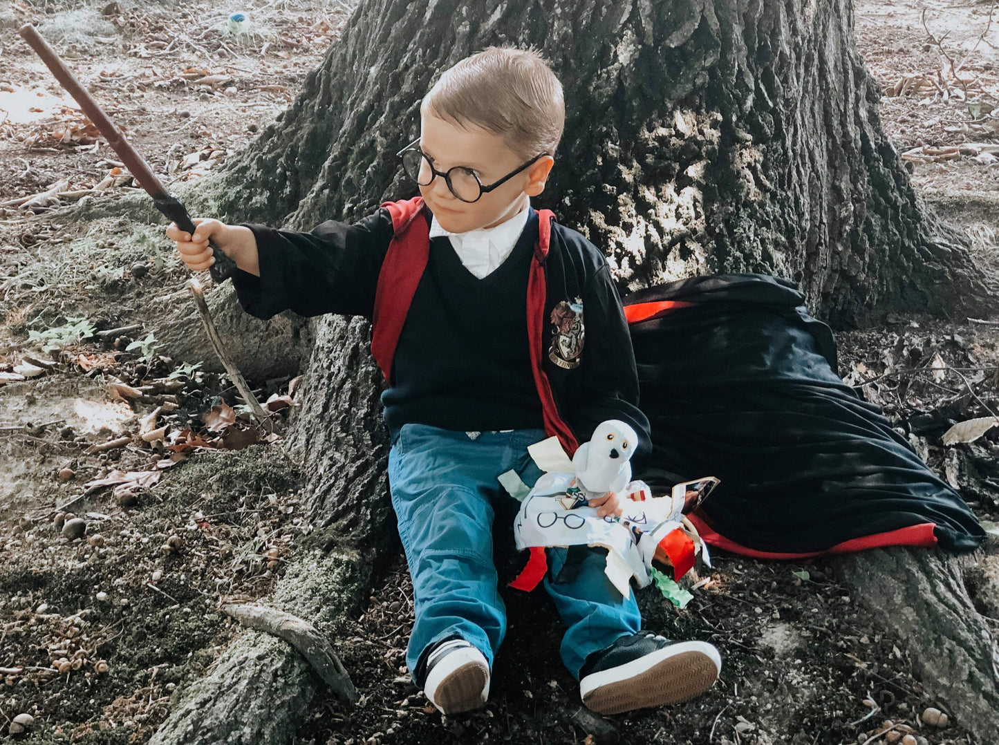 Wizard Learning Lovey Collection