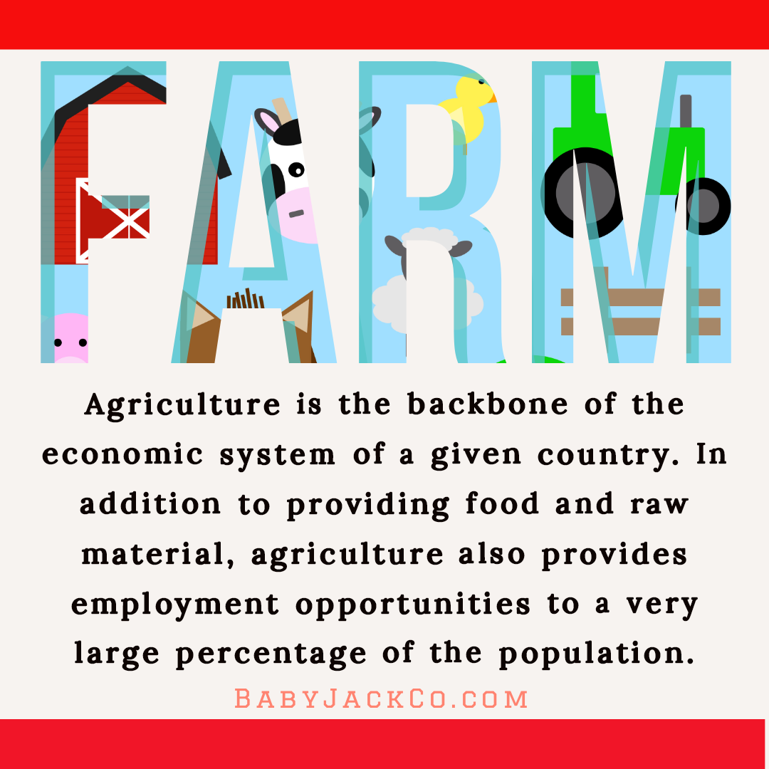 Having Fun with Farming and Baby Jack & Co. Baby Jack & Company