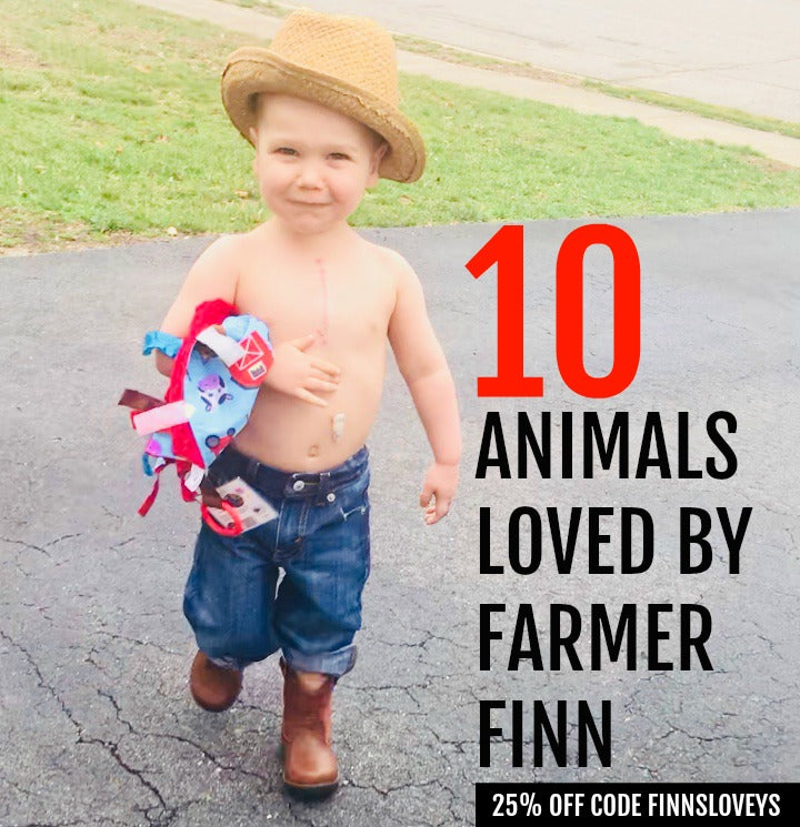 Ten Favorites From Farmer Finn