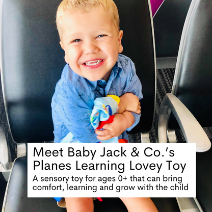 Planes Learning Lovey Collection