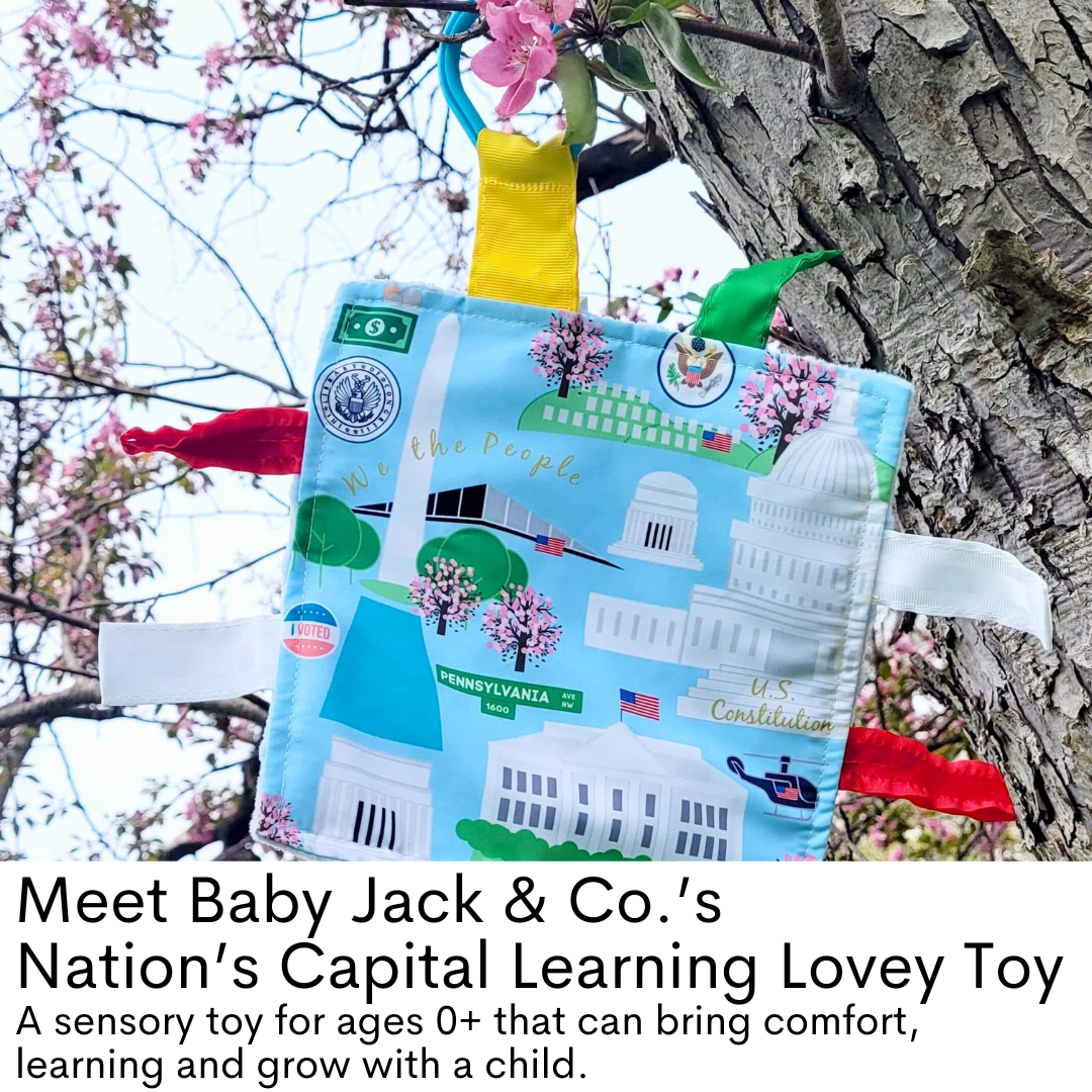 Washington D.C. City Stroller Toy Square with Tags