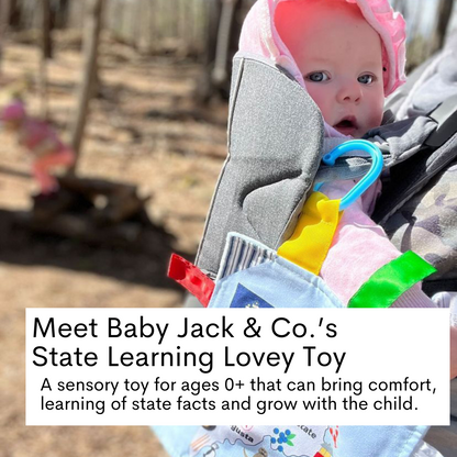 Mississippi State Tag Toy Crinkle Square That Teaches Facts
