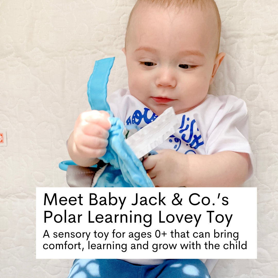 Polar Learning Lovey Collection