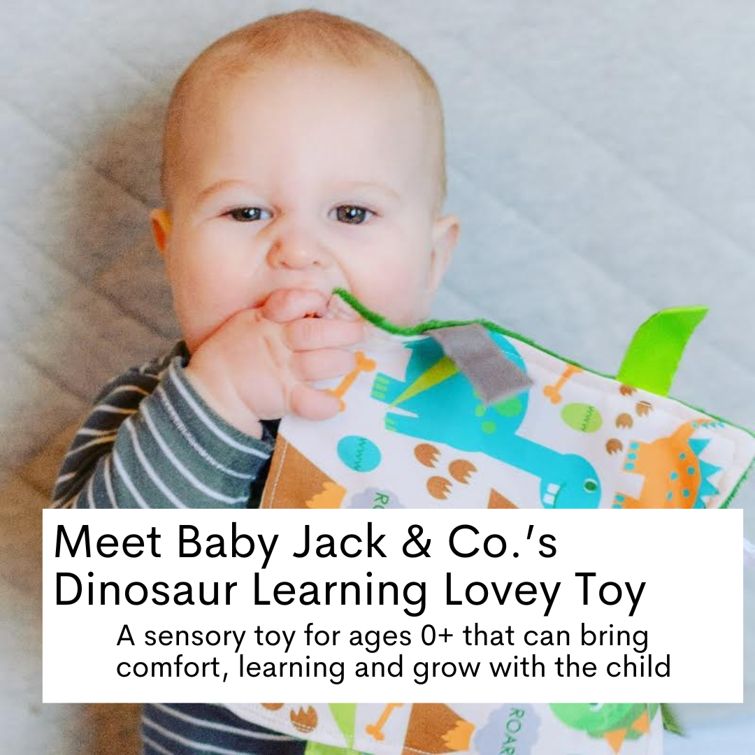 Dinosaur Learning Lovey Collection