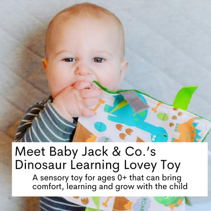 Dinosaur Learning Lovey Collection