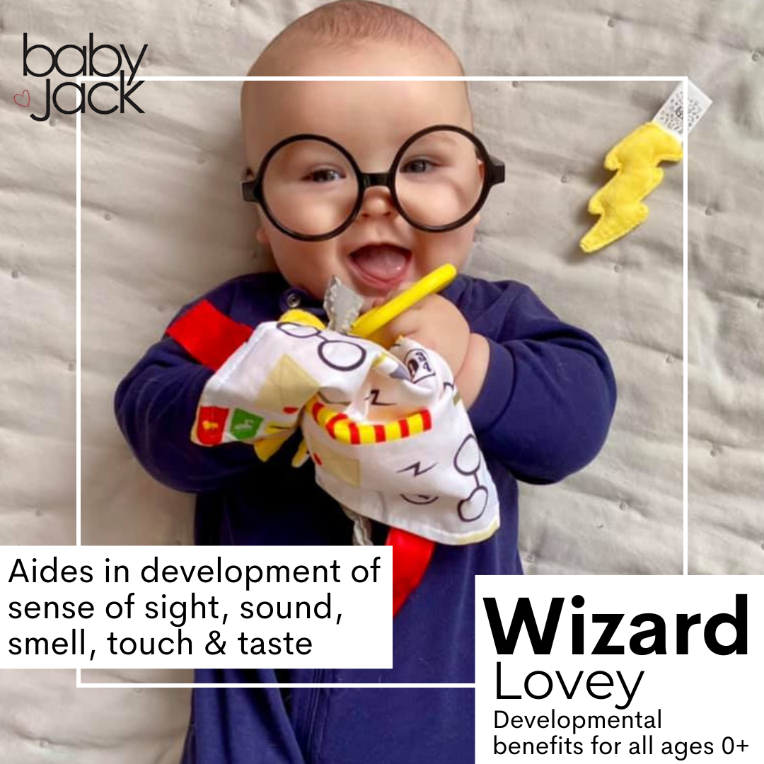 Wizard Learning Lovey Collection