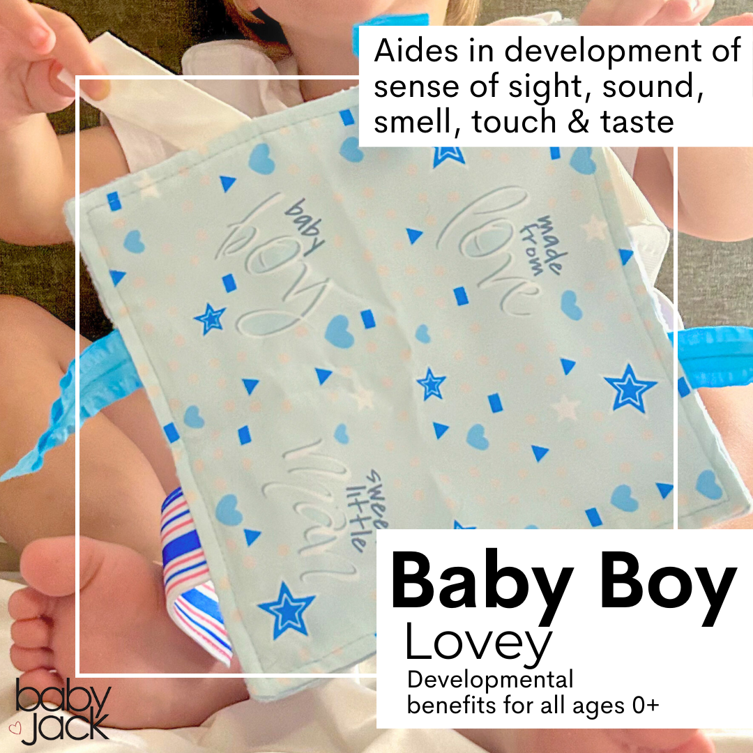 Baby Boy Newborn Hospital Blanket Blue Pink Tag Lovey Toy