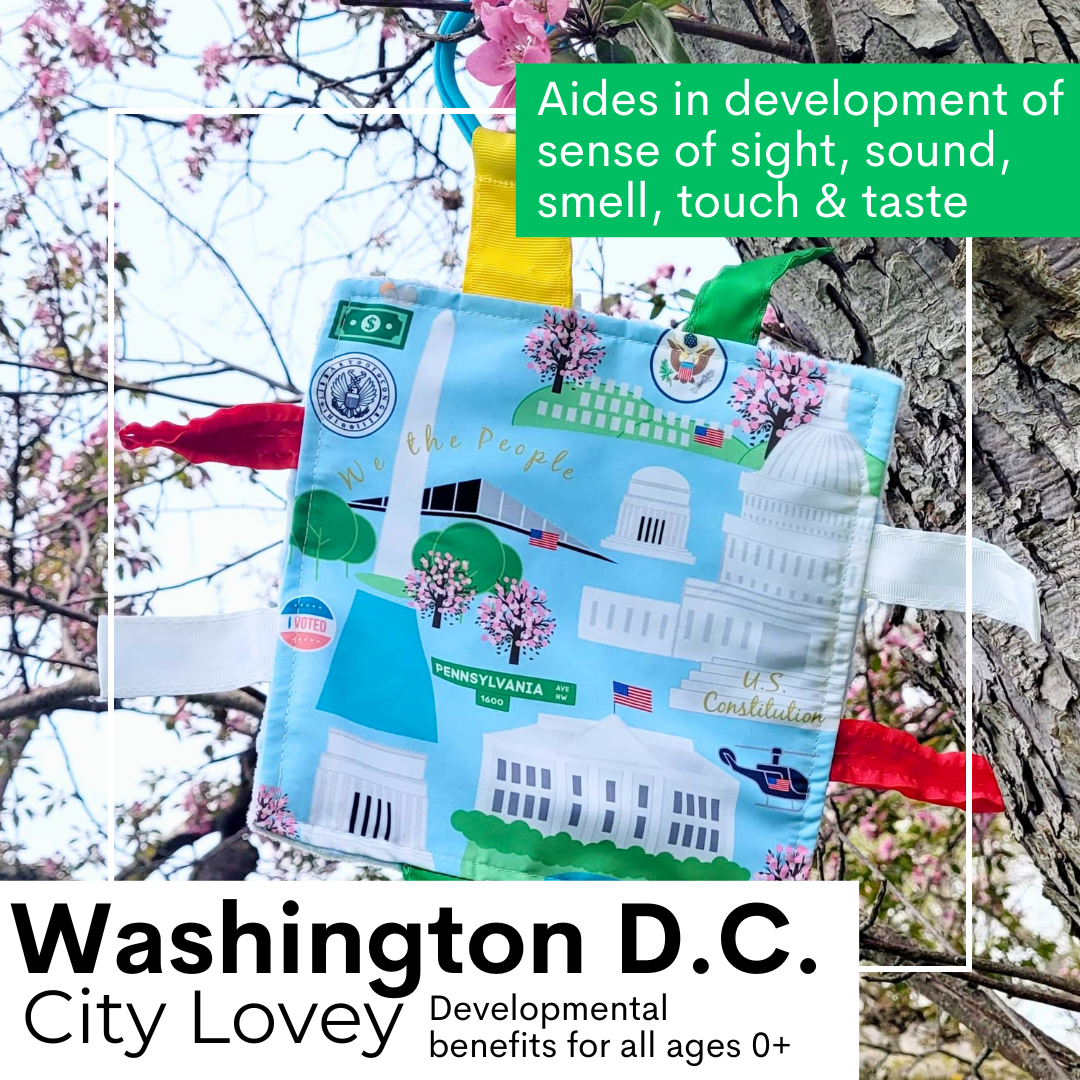 Washington D.C. City Stroller Toy Square with Tags