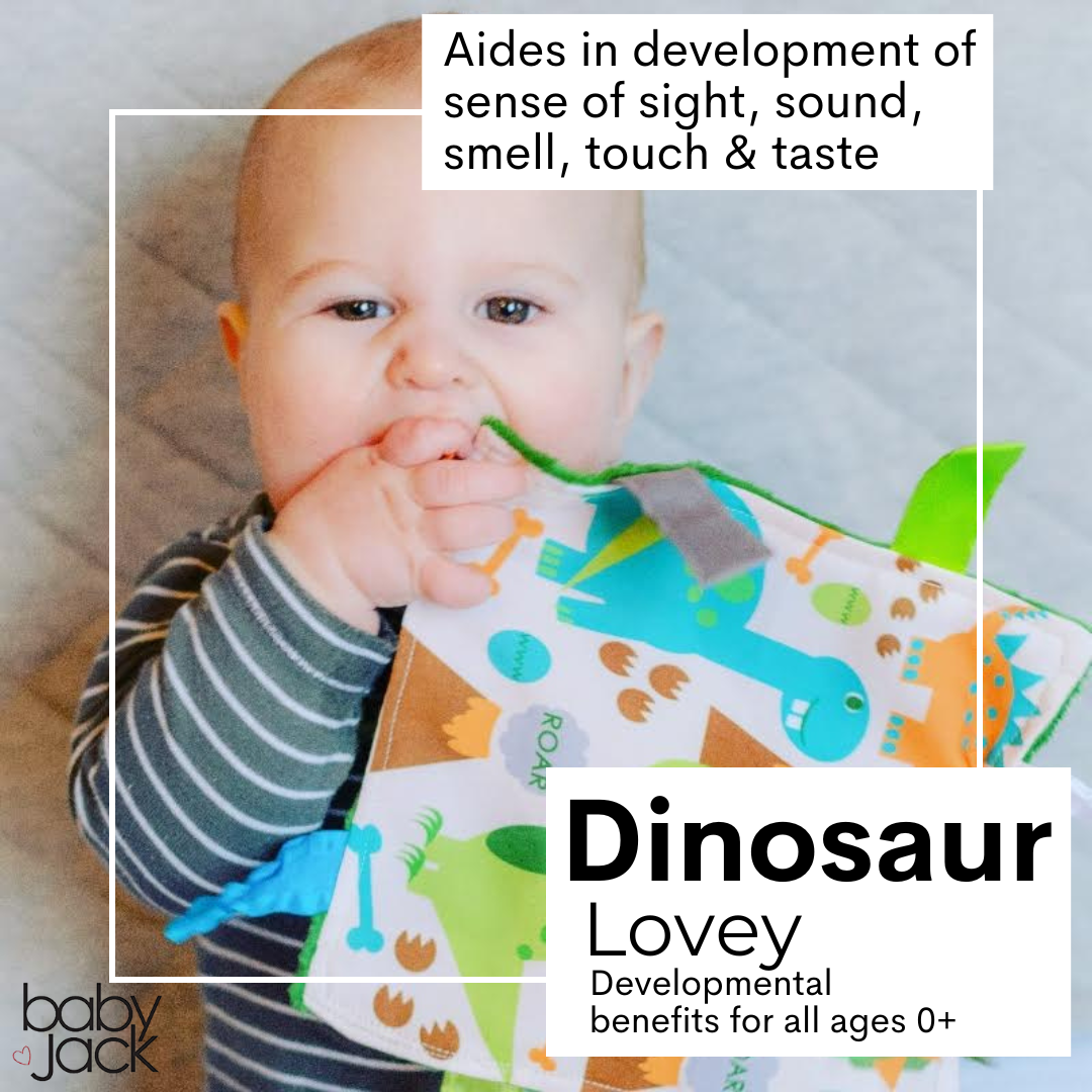 Dinosaur Learning Lovey Collection