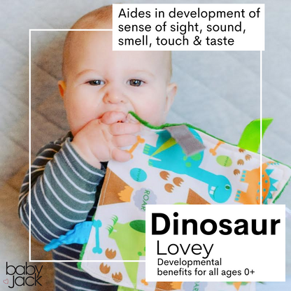 Dinosaur Learning Lovey Collection