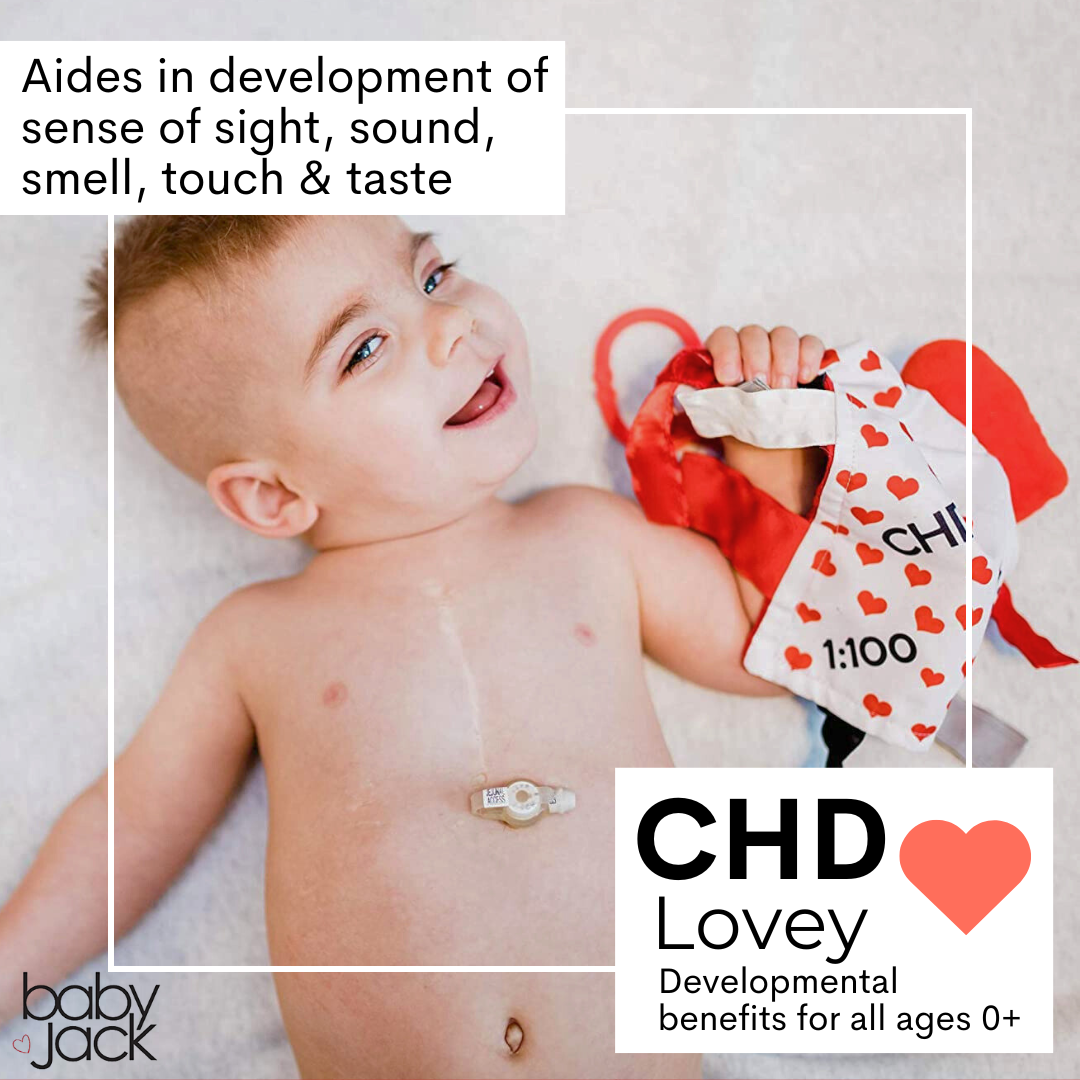CHD Awareness 1:100 Tag Toy Lovey by Baby Jack