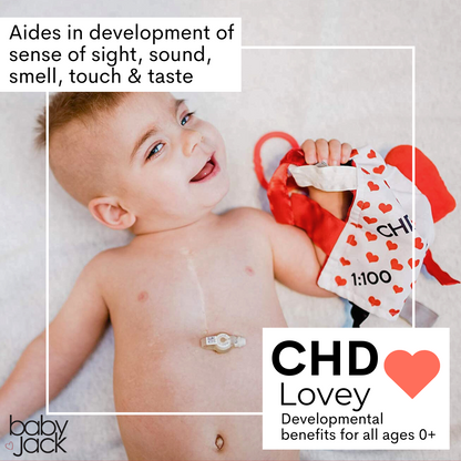 CHD Awareness 1:100 Tag Toy Lovey by Baby Jack