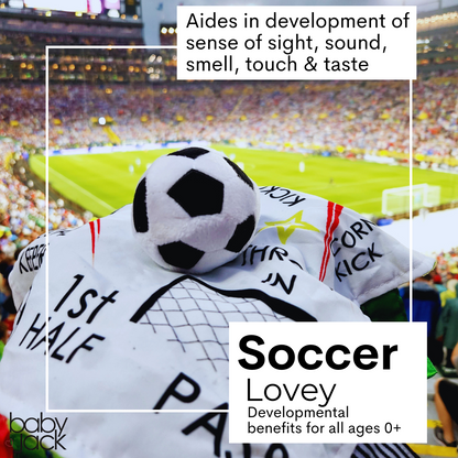 Soccer Plush Learning Lovey Stroller Tag Toy for Kids by Baby Jack & Co.