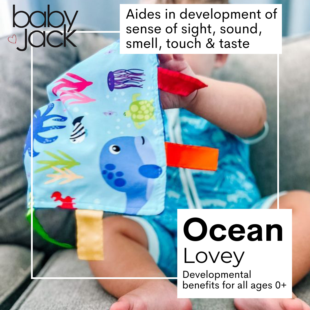Ocean Learning Lovey Collection