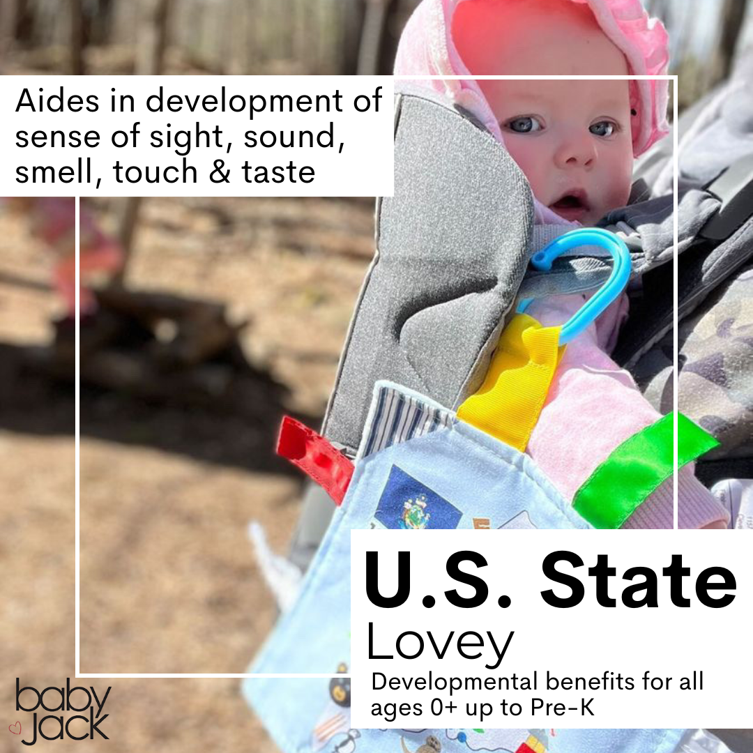 Wisconsin State Tag Toy Square That Teaches Fun Facts