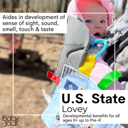 Wisconsin State Tag Toy Square That Teaches Fun Facts