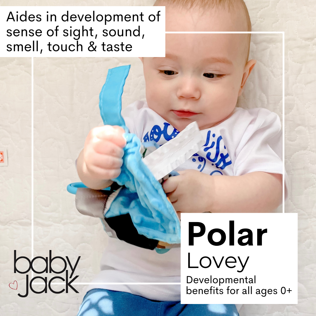 Polar Learning Lovey Collection