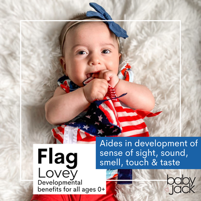 U.S. American Flag Learning Lovey Collection