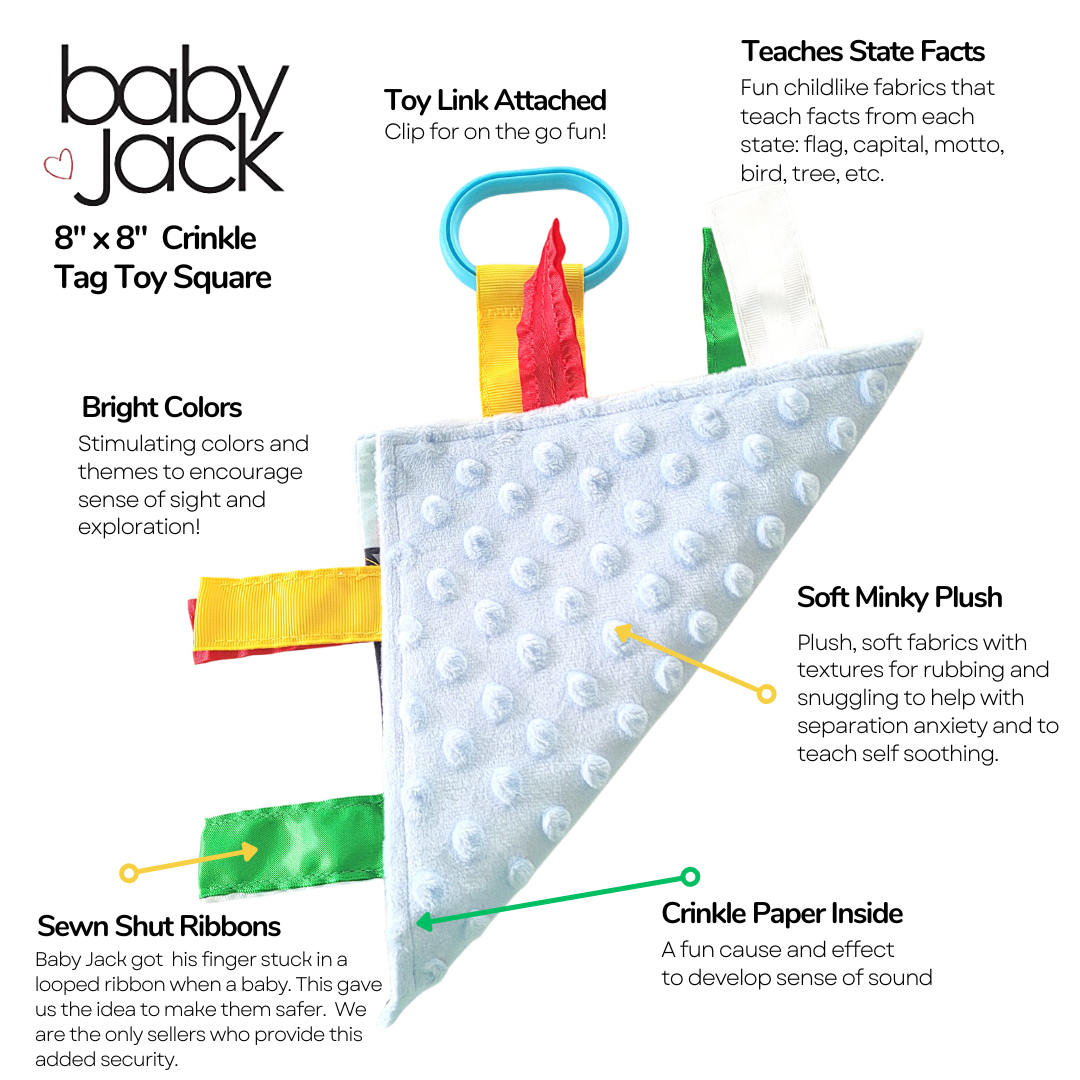 Mississippi State Tag Toy Crinkle Square That Teaches Facts