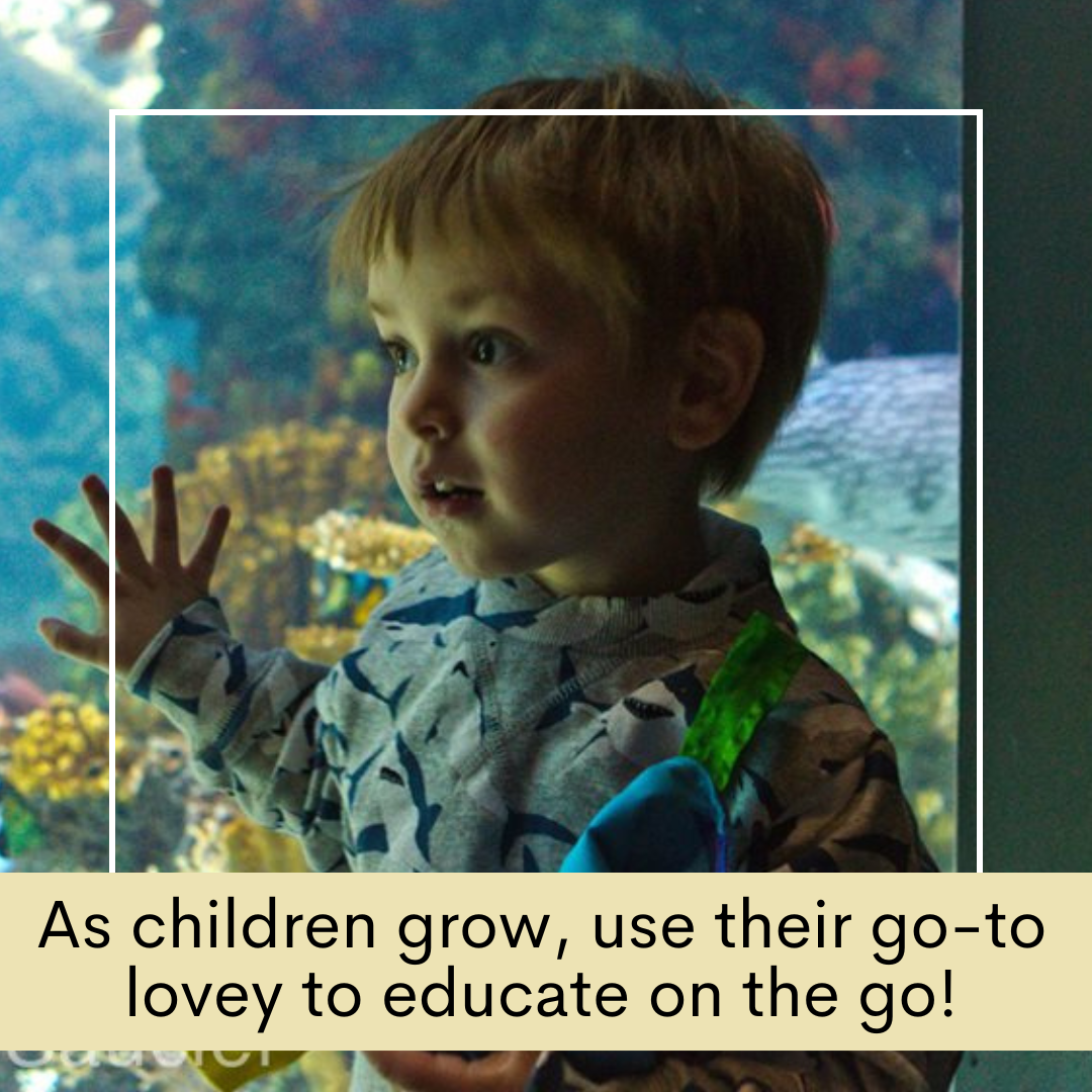 Ocean Learning Lovey Collection
