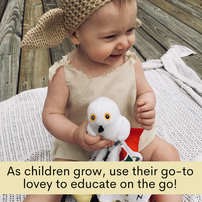 Wizard World Magical Boy Who Lived Baby Jack Learning Lovey Owl Plush Tag Toy 10" x 10"