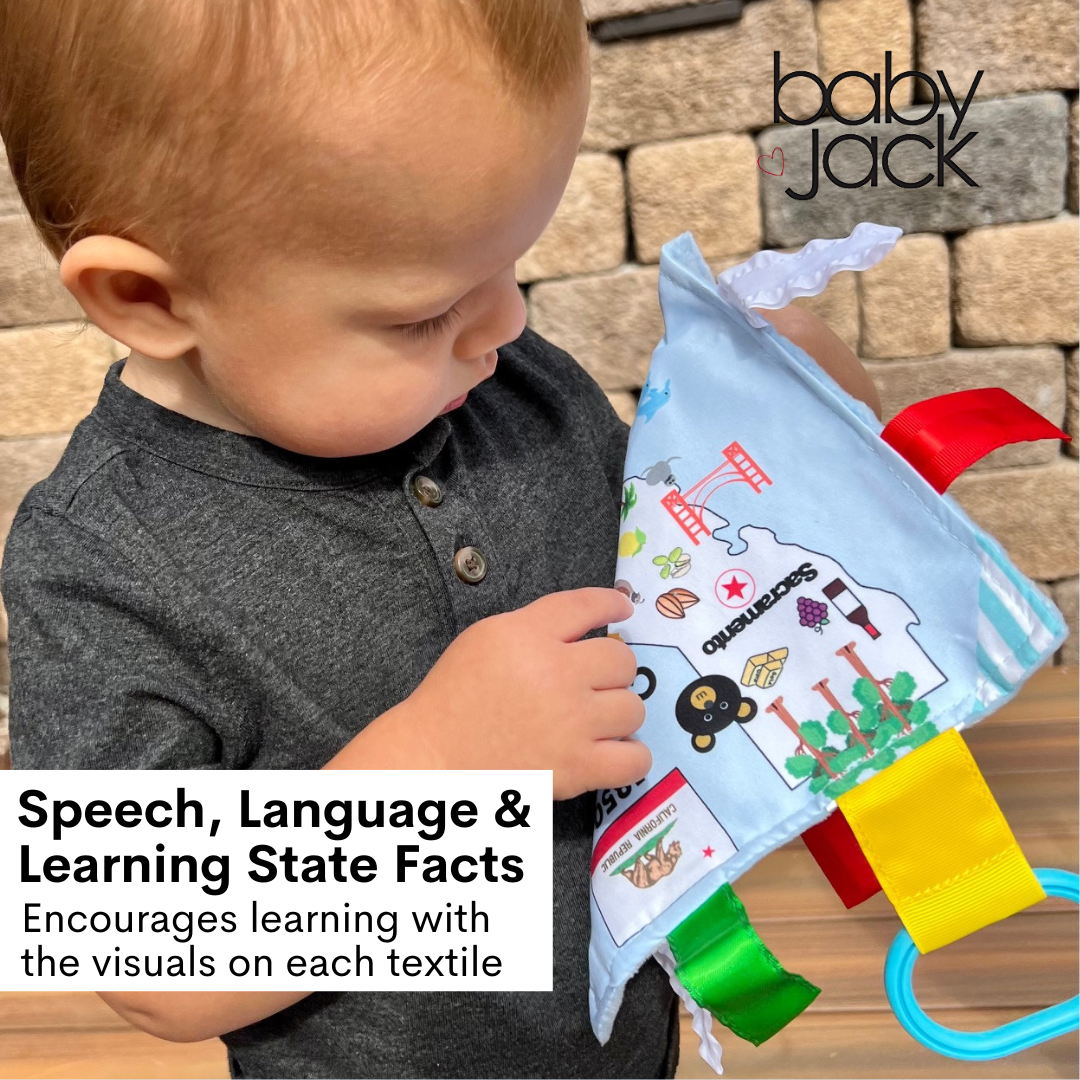 Mississippi State Tag Toy Crinkle Square That Teaches Facts