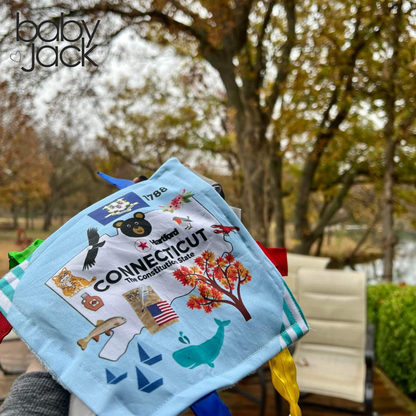 Connecticut State Tag Toy Crinkle Square That Teaches Facts