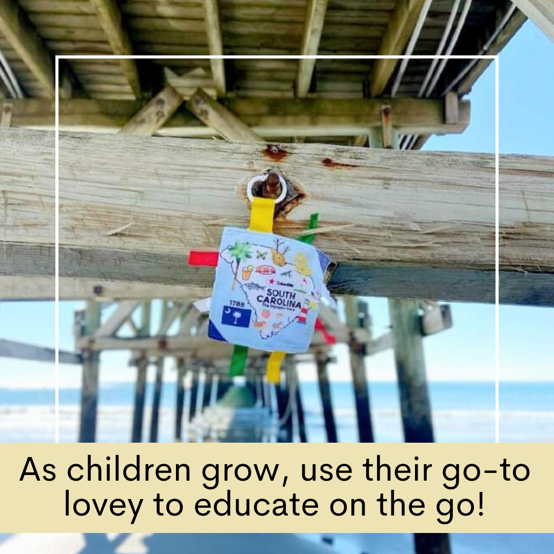 South Carolina State Tag Toy Crinkle Square That Teaches Facts