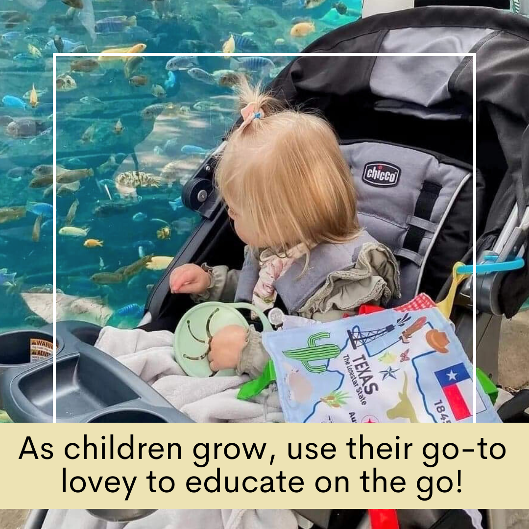 Texas State Tag Toy Crinkle Square That Teaches Facts