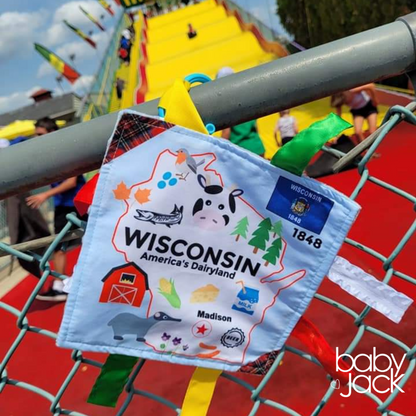 Wisconsin State Tag Toy Square That Teaches Fun Facts