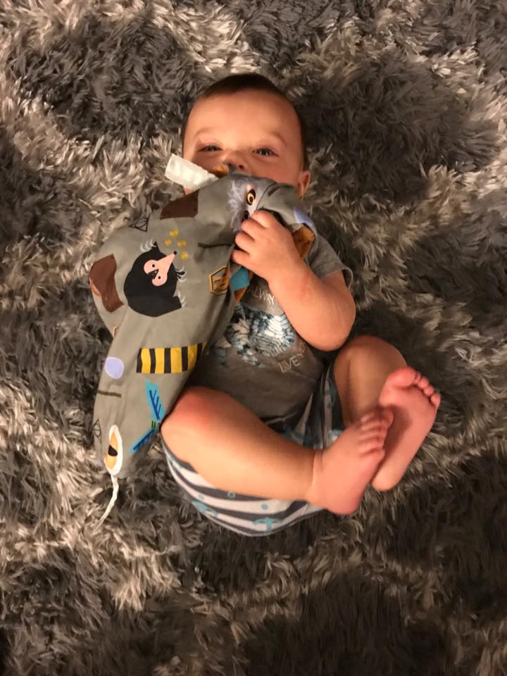 Wizard Fantastic Beasts Learning Lovey Collection
