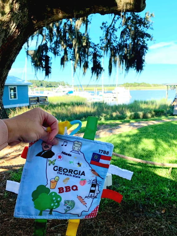 Georgia State Tag Toy Crinkle Square That Teaches Facts