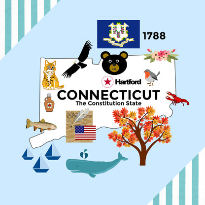 Connecticut State Tag Toy Crinkle Square That Teaches Facts