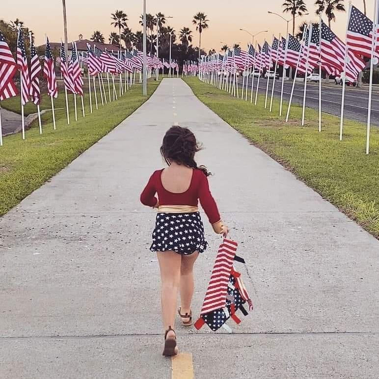 U.S. American Flag Learning Lovey Collection