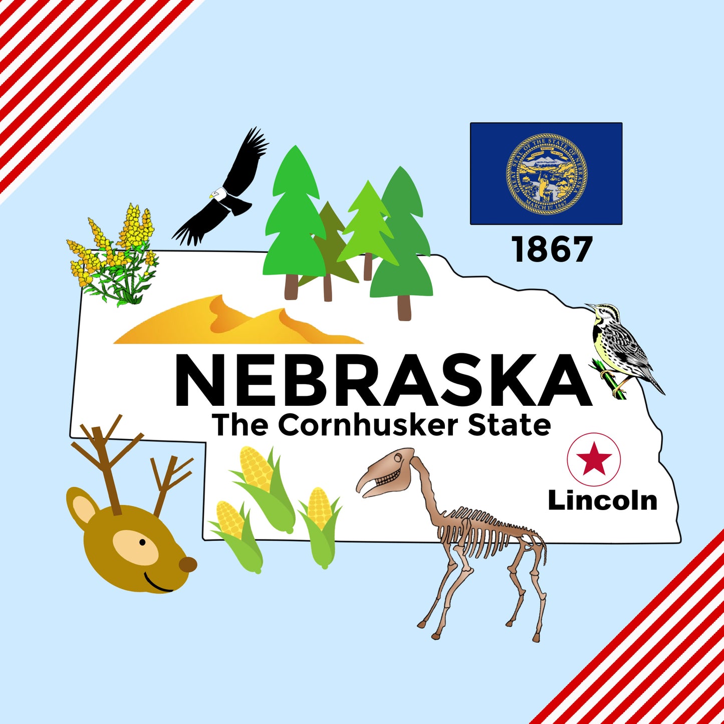 Nebraska State Tag Toy Crinkle Square That Teaches Facts