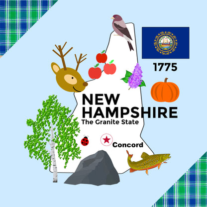 New Hampshire State Tag Toy Crinkle Square That Teaches Facts