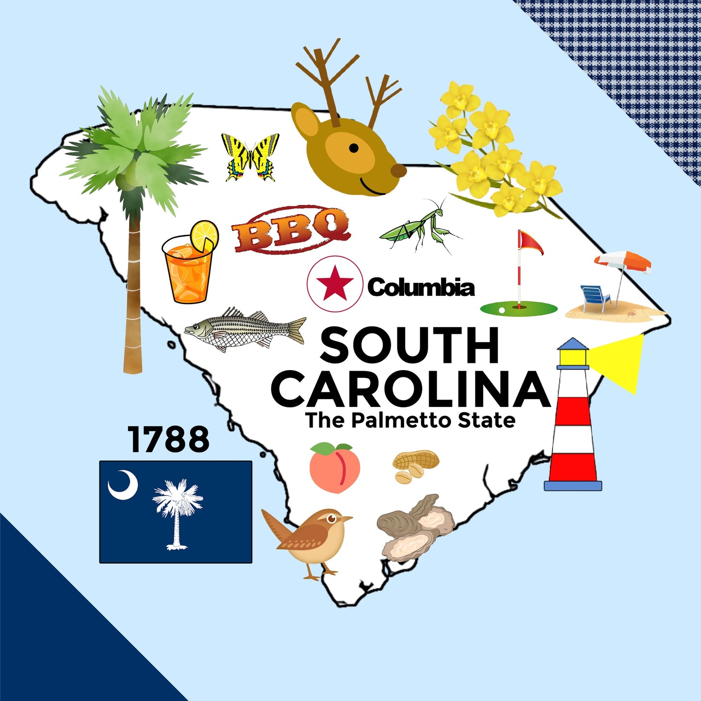 South Carolina State Tag Toy Crinkle Square That Teaches Facts