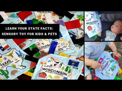 Michigan State Tag Toy Crinkle Square That Teaches Facts